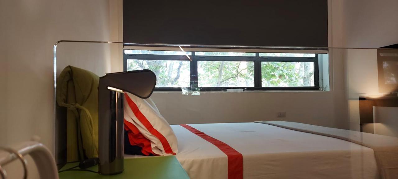 Loft 19 Bed and Breakfast Torino Eksteriør billede